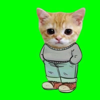 nguyễn catsniper.base.eth