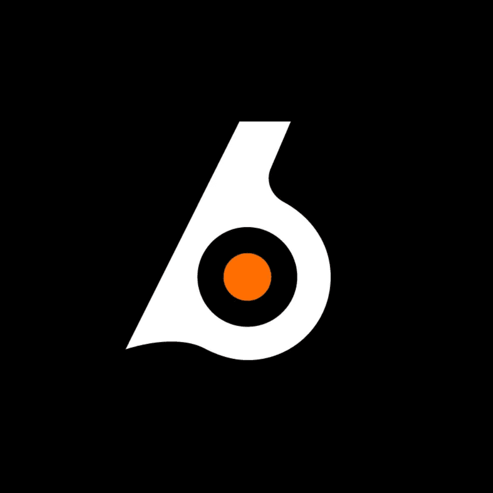 Birdeye.so logo
