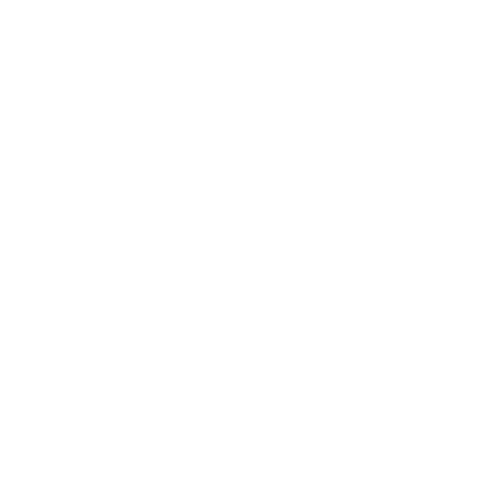 OtterSec logo